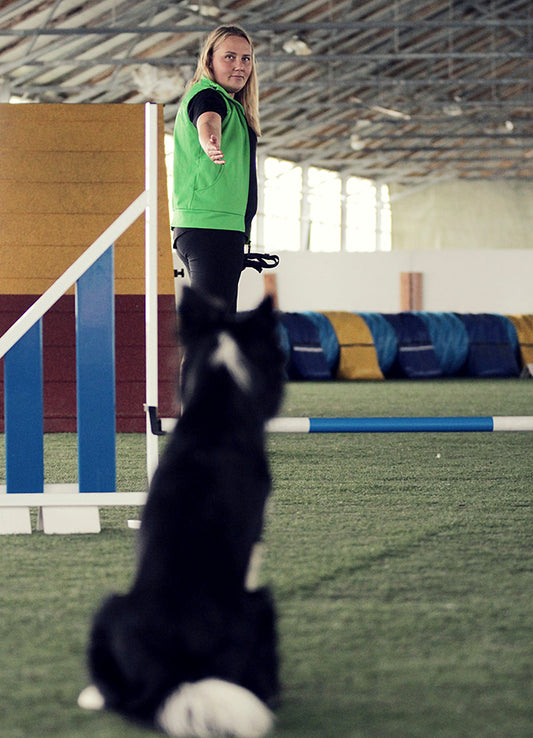 Agility on taito- ja yhteistyölaji