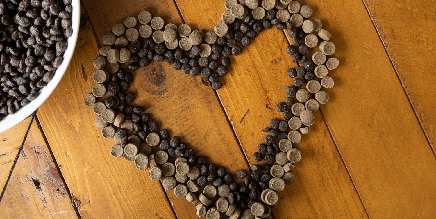 <strong>Rakkautta lemmikeille – joka päivä uusi tarjous</strong>