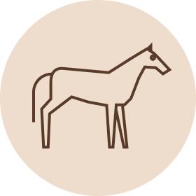 Dagsmark raaka-aine kotimainen hevonen