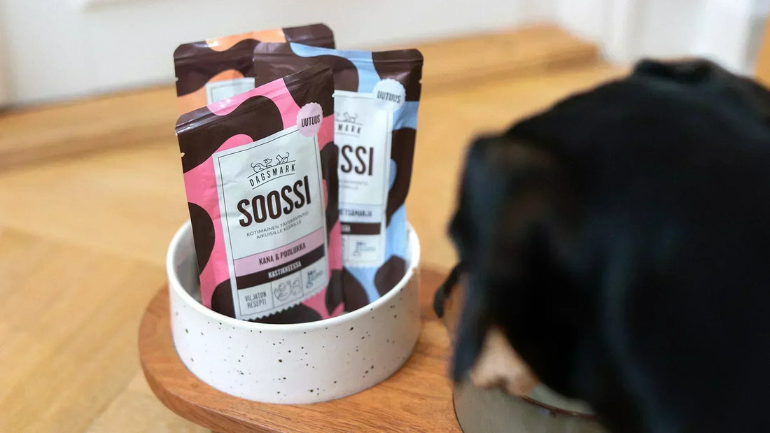 Paras koiran märkäruoka