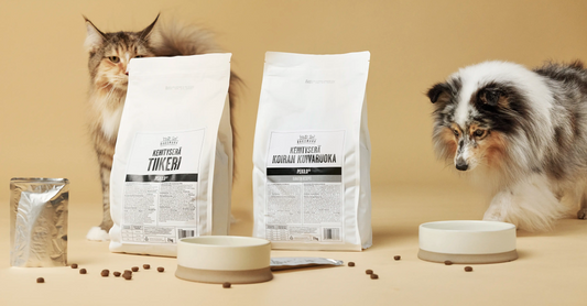 Kuppiin uuden sukupolven proteiinia – Kotimainen PEKILO®-sieniproteiini