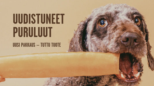 Uudistuneet purutuotteet – helpompi valita, parempi pureskella