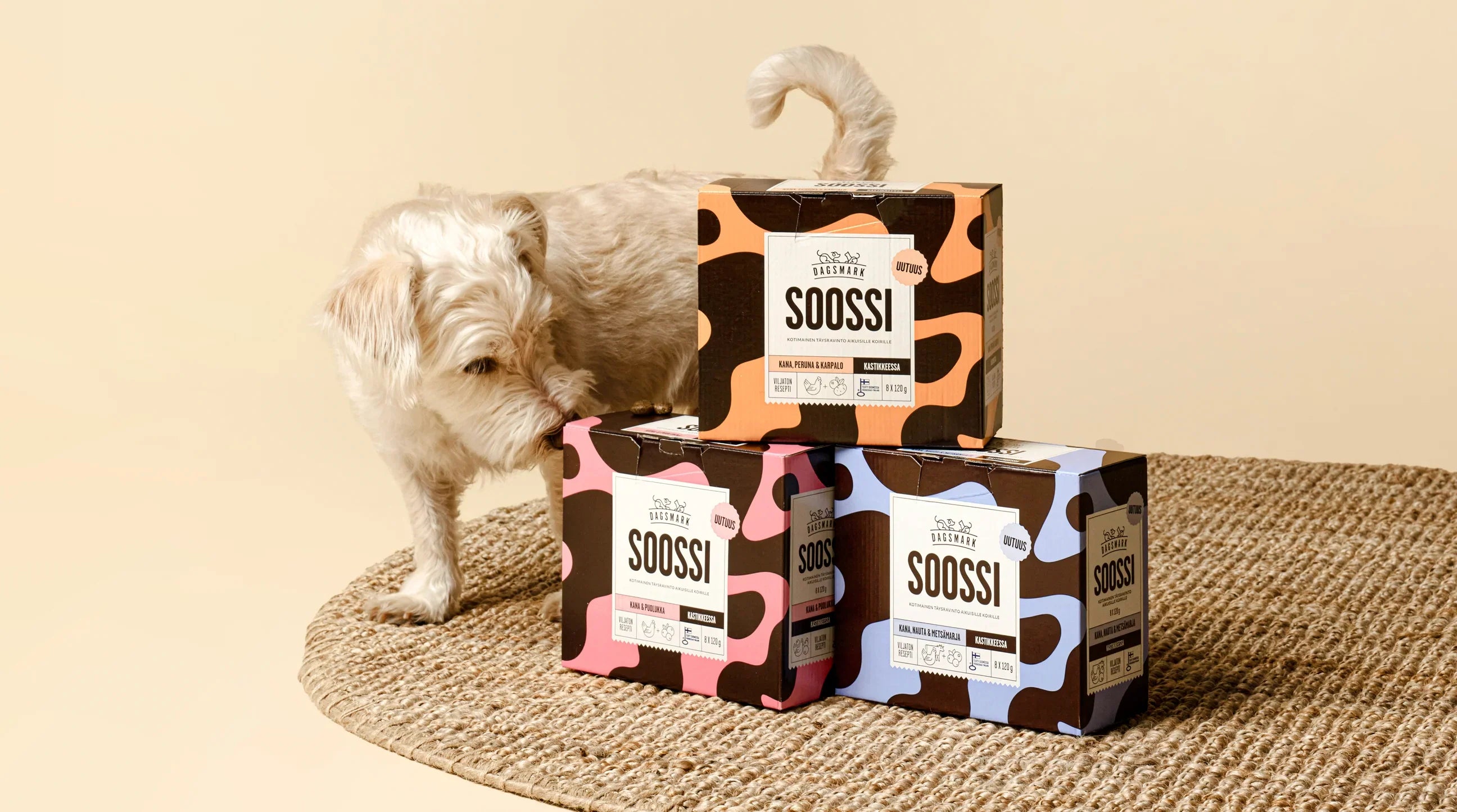 Vaalea koira haistelee Soossi tuotepakkauksia ruskealla matolla.