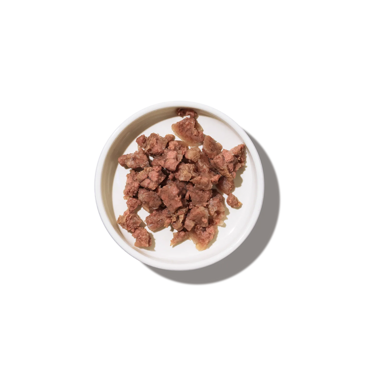 Kissan märkäruoat hyytelössä