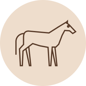 Koiranruoka Hevonen
