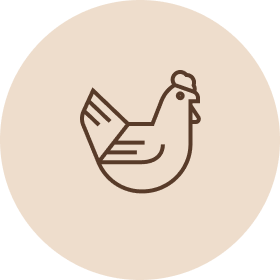 Koiranruoka Kana