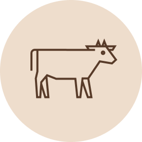 Koiranruoka Nauta