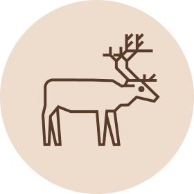 Dagsmark raaka-aine poro