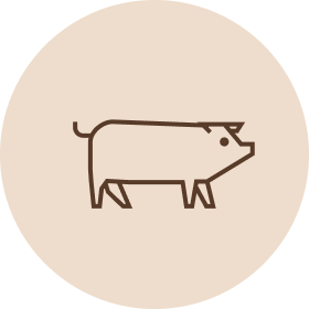 Koiranruoka Possu