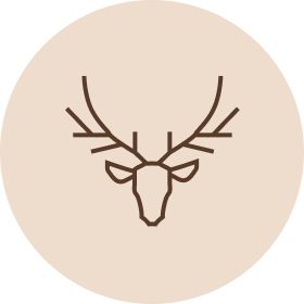 Koiranruoka Riista
