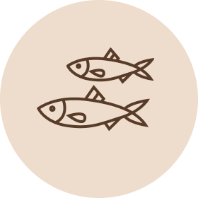 Koiranruoka Kala