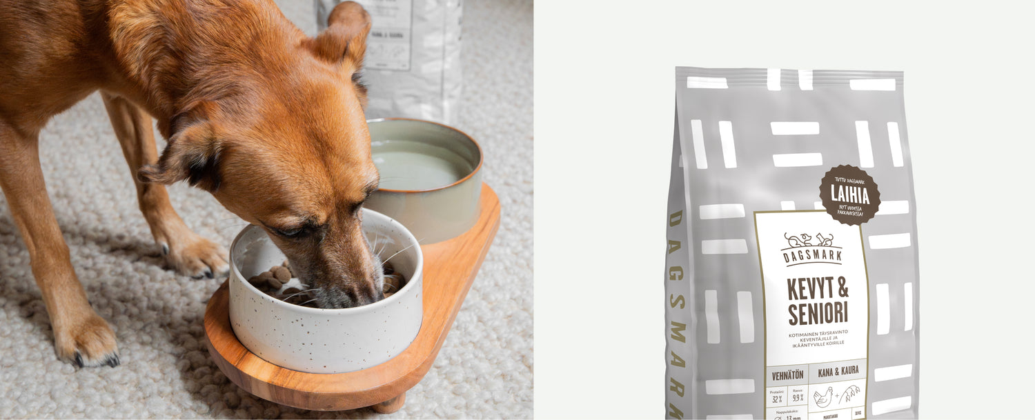 KOKENEELLE KAVERILLE