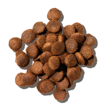 Koiran kuivaruokanappuloita irtokasana