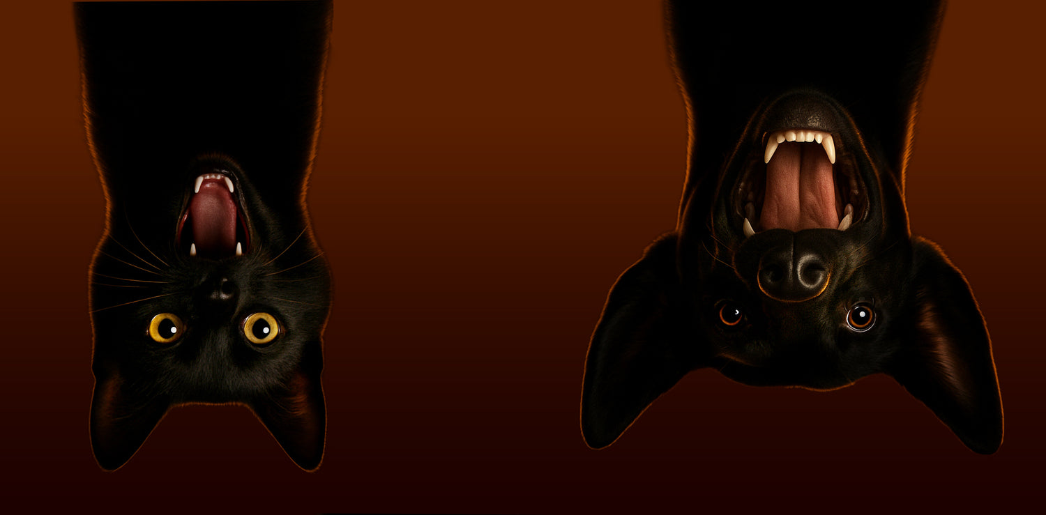 Karkki vai kepponen?