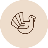 Kalkkuna