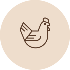 Dagsmark raaka-aine kotimainen kana