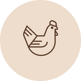 Kana