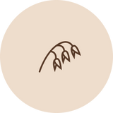 Kaura