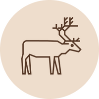 Dagsmark raaka-aine poro