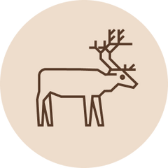 Dagsmark raaka-aine poro