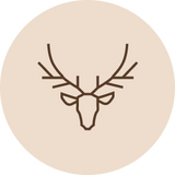 Riista