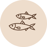 Kala