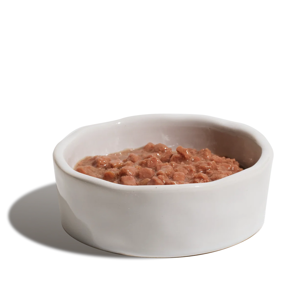 Kissan märkäruokaa kulhossa