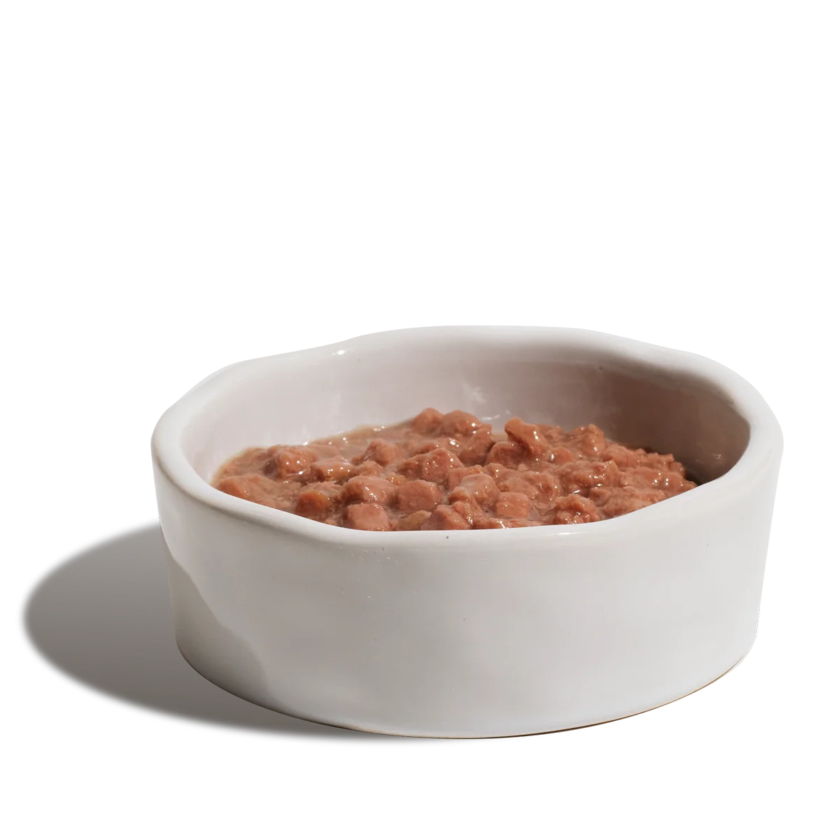 Kissan märkäruokaa kulhossa